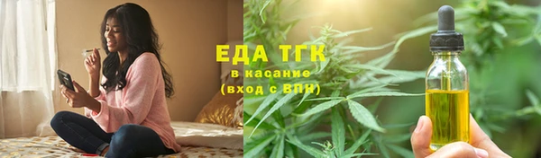 стаф Новозыбков