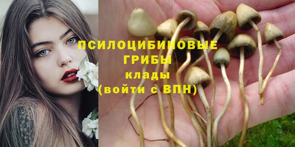 а пвп мука Новокубанск