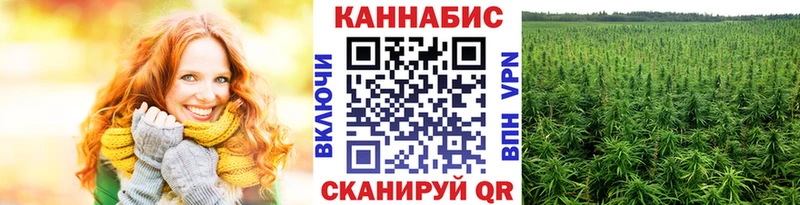 наркошоп  Белая Калитва  omg сайт  Бошки Шишки сатива 